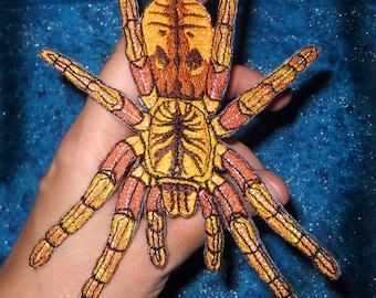 AWESOME OBT Pterinochilus murinus Orange Baboon Tarantula Spider Iron on Patch Applique Mombasa golden starburst tarantula Applique