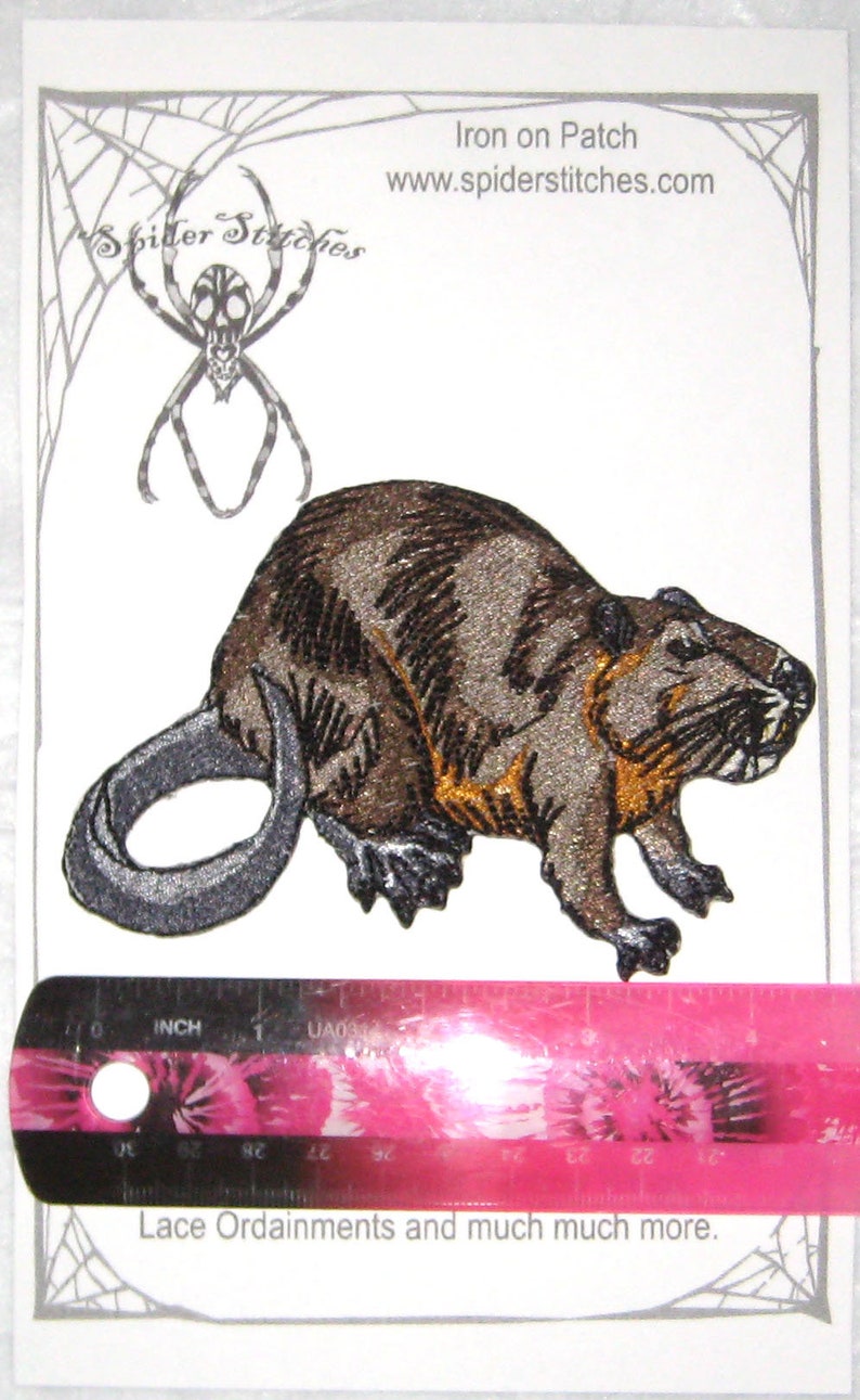 Nutria Rat Myocastor coypus  Iron on Patch