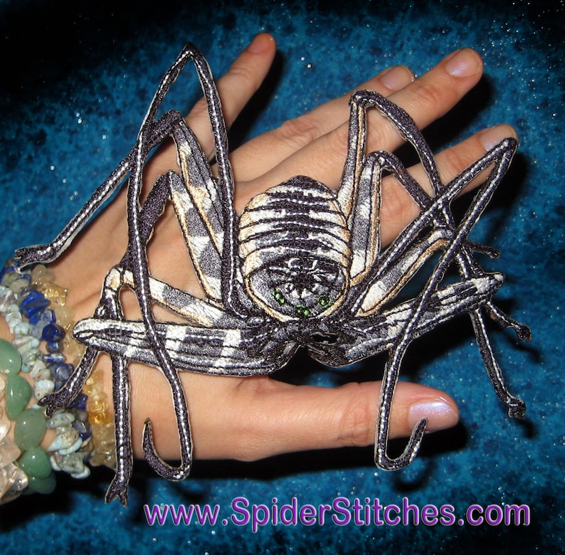 Giant Tanzanian Tailless Whip Scorpion Iron on Patch Amblypygi Damon variegatus image 1