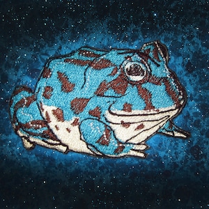 May include: A blue and brown embroidered frog with a white belly, on a dark blue sparkly background.