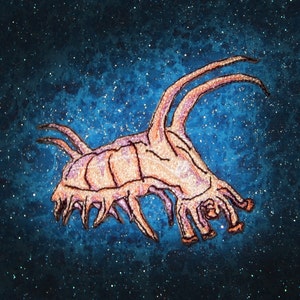 May include: A pink and white creature with multiple legs and antennae against a blue starry background.