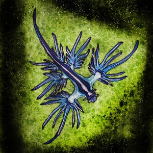 HUGE Blue Dragon Sea Slug Nudibranch Glaucus atlanticus Iron on patch image 2