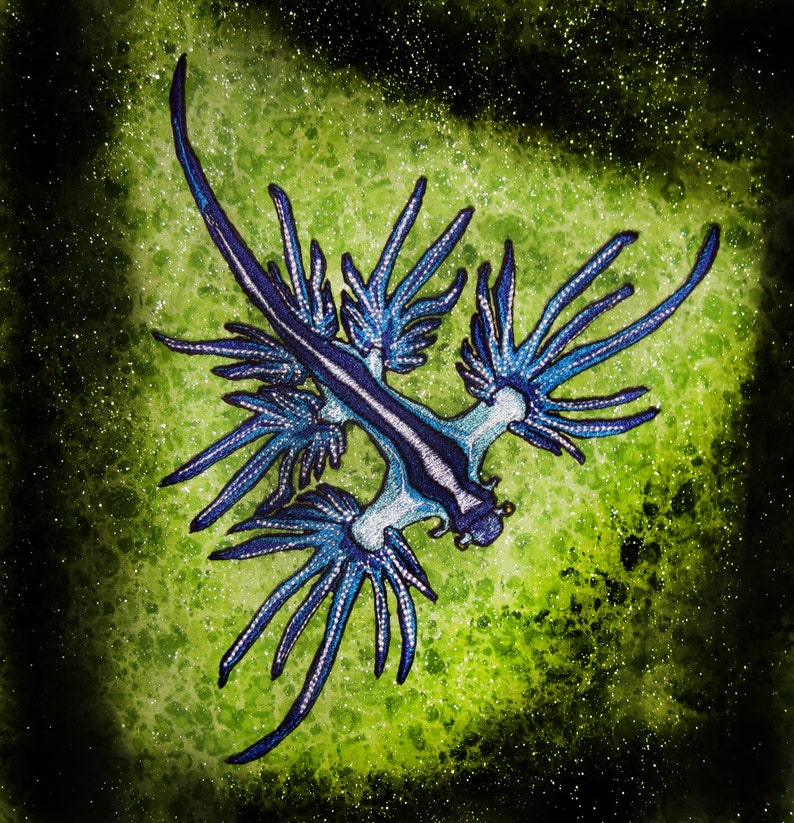 HUGE Blue Dragon Sea Slug Nudibranch Glaucus atlanticus Iron on patch image 2