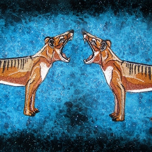 Pode incluir: Dois tigres da Tasmânia, também conhecidos como tilacinos, são retratados em uma pintura. Eles estão frente a frente com a boca aberta, como se estivessem prestes a lutar. Os tigres são marrons e pretos com listras brancas. O fundo é um padrão de mármore azul e preto.