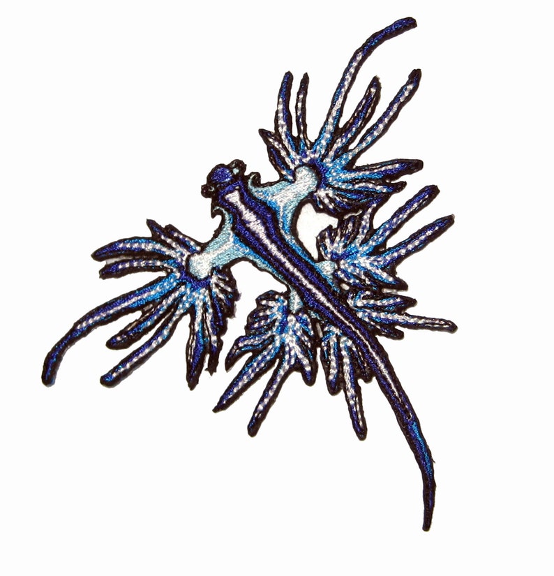 Blue Dragon Sea Slug Nudibranch Glaucus atlanticus Iron on patch image 3