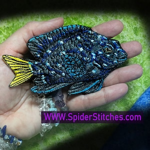 Yellow-tail blue damselfish damsel Disco Fish Iron on Patch fish patch applique badge Chrysiptera parasema yellowtail yellow tail reef fish