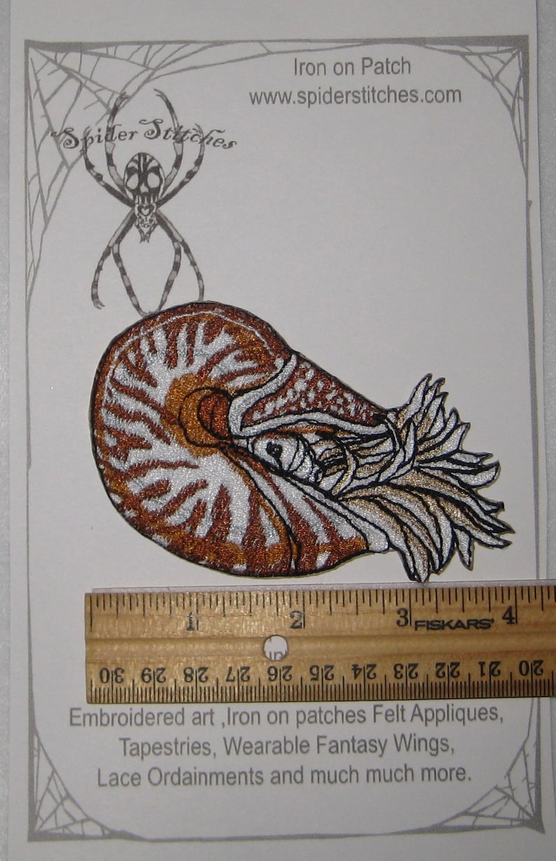 Chambered Nautilus Nautilus pompilius Iron on patch or Sew on Patch cephalopod Shell image 2