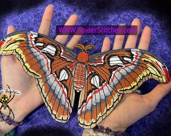 Lovely Life Sized Atlas moth Attacus atlas Snakehead Moth Butterfly Iron on Patch Fuzzy antenna