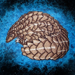 Puede incluir: Un parche bordado de un pangolín enroscado en forma de bola, con costuras marrones y blancas. El parche está sobre un fondo azul y negro.