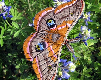 Polyphemus Moth Antheraea polyphemus Iron on or Sew on Patch