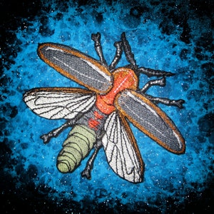 Glowing Fire Fly Photinus pyralis Iron on Patch