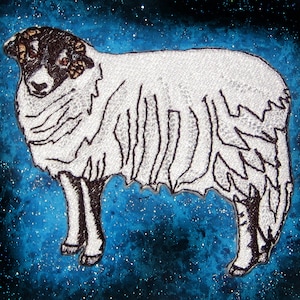 Könnte beinhalten: Ein weißes Schaf mit schwarzen Markierungen im Gesicht und an den Beinen, das vor einem blauen und schwarzen Sternenhimmel steht.