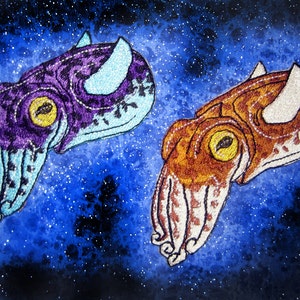 Op de afbeelding: Twee geborduurde pleisters van inktvissen, een blauw en paars, de andere bruin en wit, tegen een blauwe sterrenhemel.