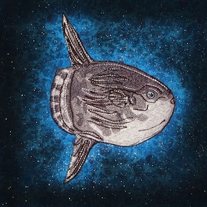 May include: A detailed illustration of a sunfish, in shades of grey and silver, set against a blue and dark blue starry background. The fish has a rounded body, prominent fins, and a small, light blue eye.