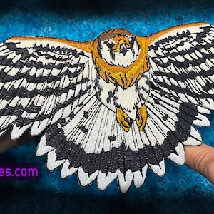 American Kestrel Sparrow hawk falcon  Bird Iron on Patch Falco sparverius large patch