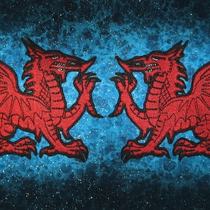 May include: Two red dragons facing each other with wings spread out on a blue background with a speckled pattern.