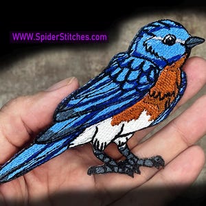 May include: An embroidered patch of a bluebird featuring vibrant blue feathers on the head and wings, a rust-orange chest, and a white belly. The patch includes the text WWW.SpiderStitches.com in purple lettering near the bird's head.