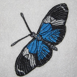 May include: Embroidered blue butterfly with black and white wings. The butterfly is a decorative patch or applique.