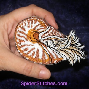 Op de afbeelding: Gestikt patch van een nautilus schelp met een wit en bruin spiraalpatroon. De schelp is open en de binnenkant is zichtbaar. Het patch is op een blauwe achtergrond.
