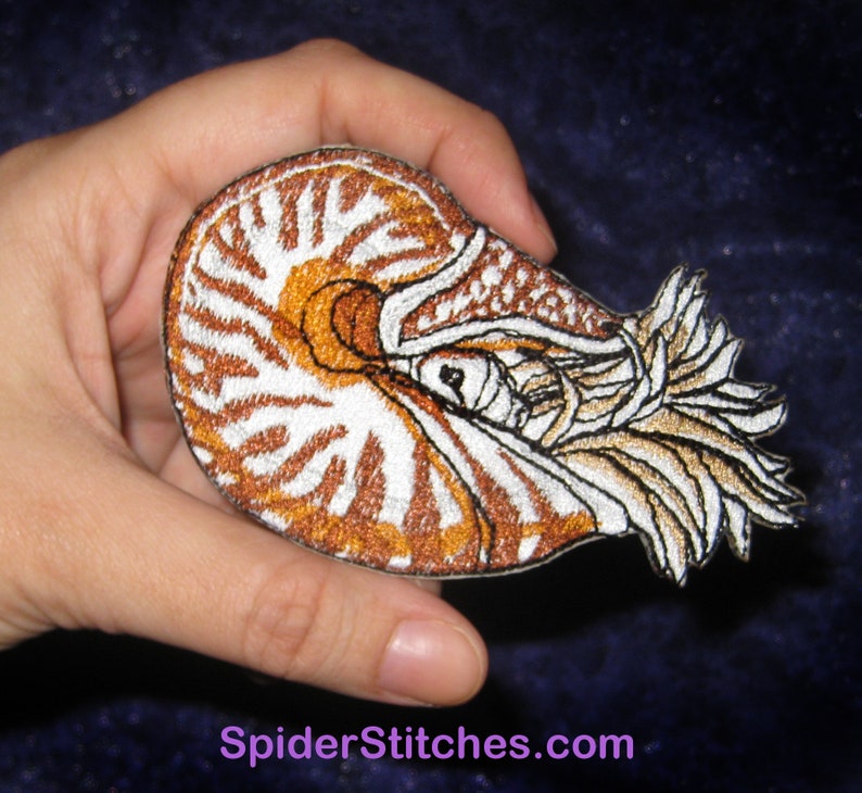 Chambered Nautilus Nautilus pompilius Iron on patch or Sew on Patch cephalopod Shell image 1