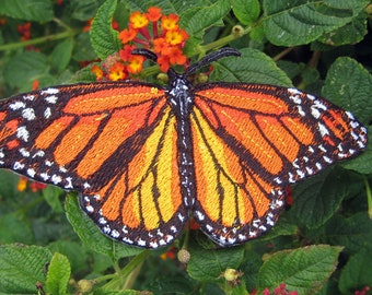 Epic  Life Sized Monarch Butterfly Danaus plexippus Iron on Patch