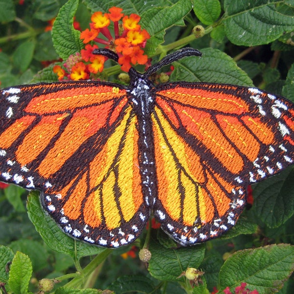 Parche termoadhesivo de tamaño natural de la mariposa monarca Danaus plexippus