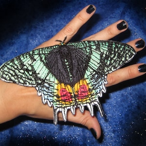 May include: A hand holding a large, colorful butterfly with green, blue, black, red, and yellow wings. The butterfly is embroidered and has a detailed design.