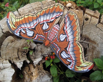 Epic  Life Sized Atlas moth Attacus atlas Snakehead Moth Butterfly Iron on Patch