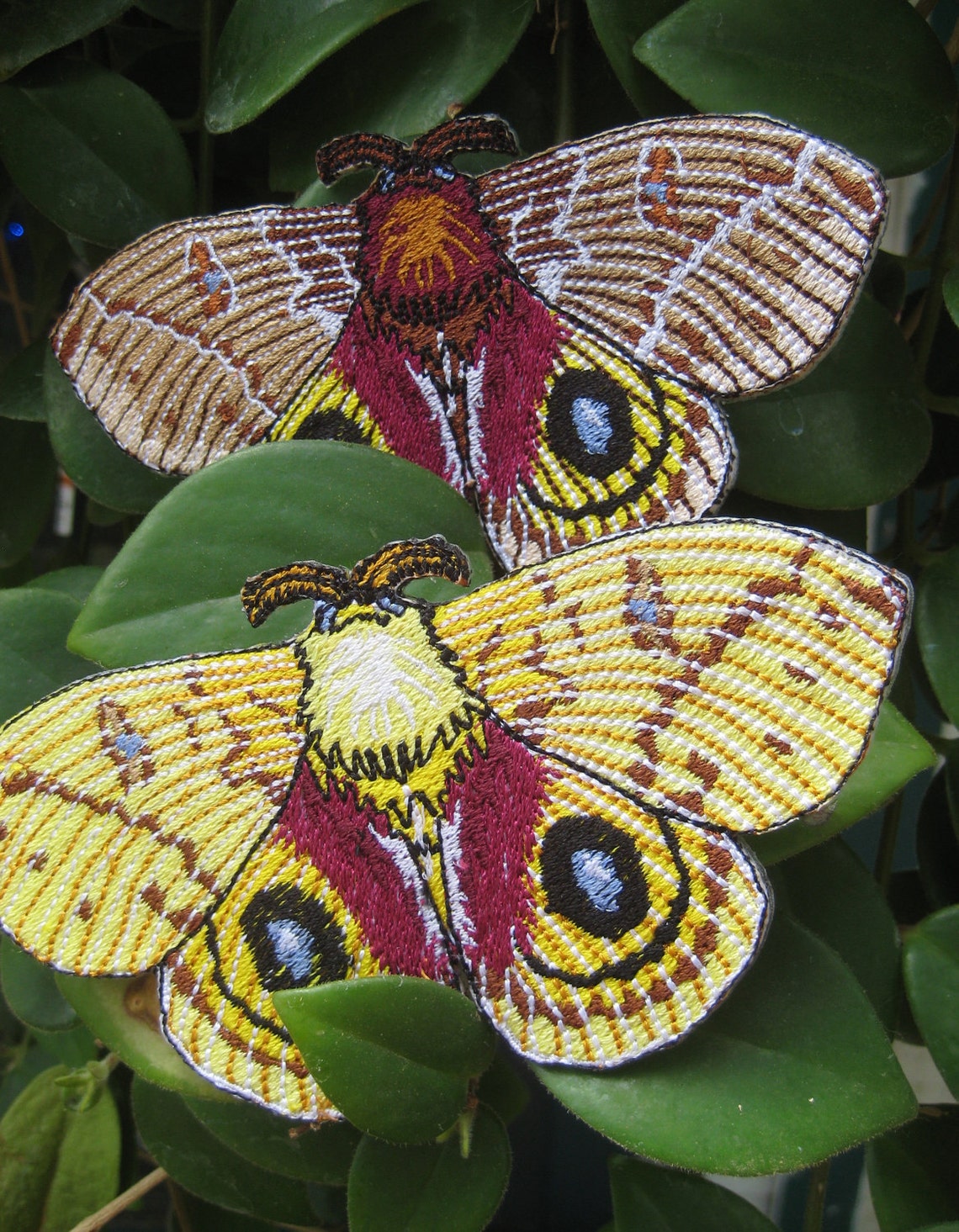 Io Moth Pair Automeris Io Insect Steam Punk Iron on Patch - Etsy