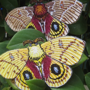 Io Moth Pair  Automeris io Insect  Steam Punk Iron on Patch