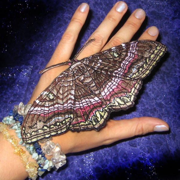 Black Witch Moth Ascalapha odorata Aplique de ferro em patch de inseto