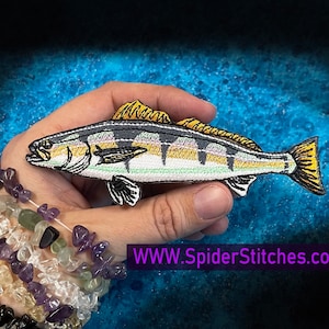 White seabass white weakfish Fish Iron on patch Atractoscion nobilis croaker sea bass