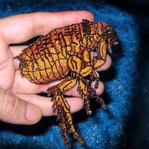 May include: A detailed embroidered patch of a flea, with a brown and gold color scheme. The flea is depicted in a realistic style, with intricate details on its body and legs.