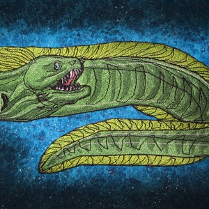 Huge Green Moray Eel Gymnothorax funebris Iron on patch