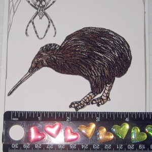 Op de afbeelding: Een opstrijkbare patch met een gedetailleerde illustratie van een kiwi-vogel. De patch is bruin met een lange snavel en is ongeveer 7.6 cm lang. De afbeelding bevat ook hartvormige versieringen en de tekst "Spider Stitches".