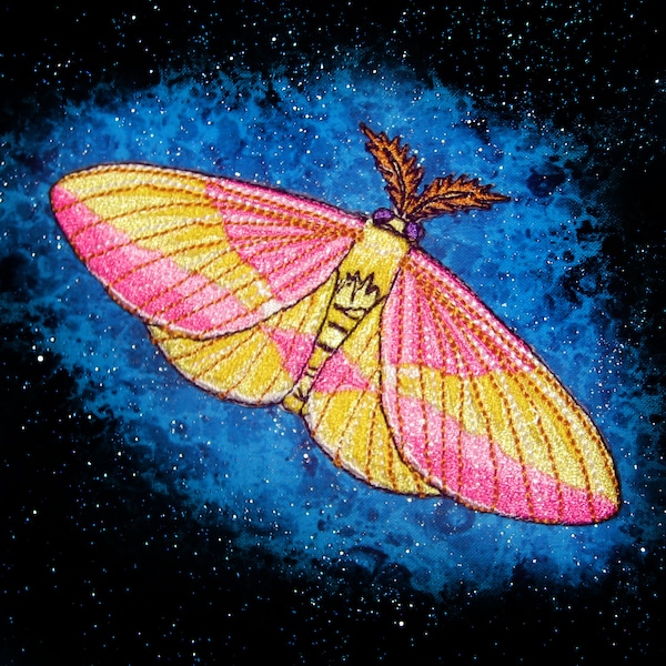 Rosy Maple Moth Dryocampa rubicunda Ferro em remendo