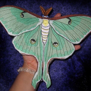 HUGE Sage Green Luna Moth Actias luna Iron on Patch