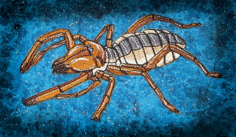 Solifugae Camel Spider Wind scorpions Sun spider Iron on Patch image 2
