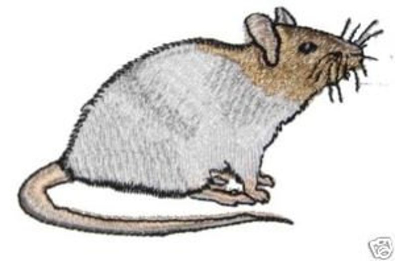 Fancy Cream Hooded Rat Steam Punk Iron on Patch Etsy