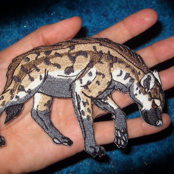 Caminar manchado Hyena Crocuta crocuta hierro en parche