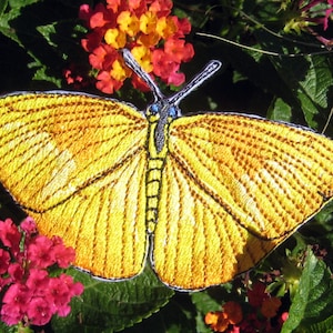 May include: A yellow embroidered butterfly with black veins and blue eyes. The butterfly is on a green leafy background with pink flowers.
