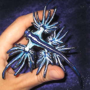 Blue Dragon Sea Slug Nudibranch Glaucus atlanticus Iron on patch image 2