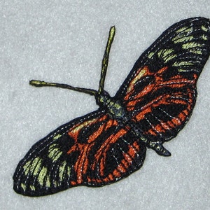 Lovely life Sized Tiger Longwing Butterfly Heliconius numata  Insect  Steam Punk Iron on Patch