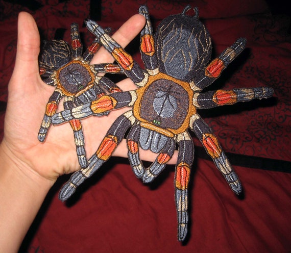 Huge Mexican Red Knee Tarantula Brachypelma Smithii Spider Jacket