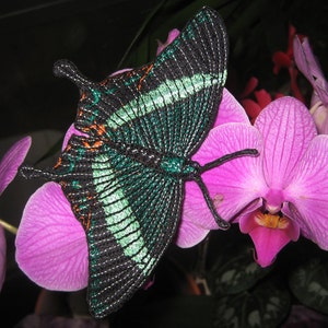 Epic Banded Green Peacock Butterfly Papilio crino  Insect Iron on Patch