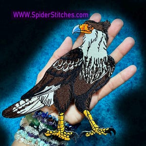May include: Embroidered patch of a brown and white bird with a yellow beak and legs. The bird is standing on a hand with a blue background. The patch is about 5 inches tall. The text "WWW.SpiderStitches.com" is visible in the top left corner of the image.