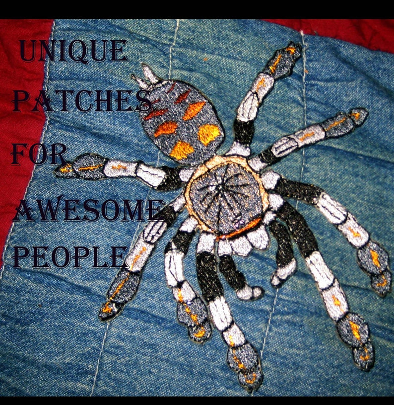 Venezuelan Suntiger Tarantula Psalmopoeus irminia Spider Steam Punk Iron on Patch image 2