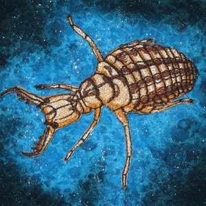 May include: A detailed embroidered insect with a brown and gold body on a blue background with white speckles.