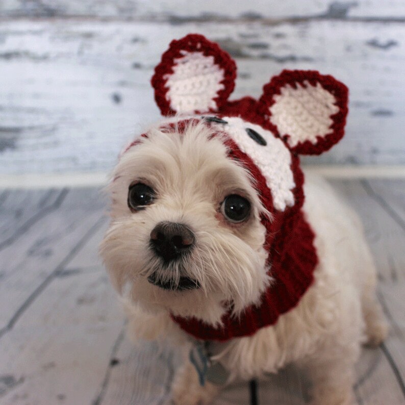 dog accessory snood snood for dog Woodland Friends Fox Dog Hat Crochet dog hat