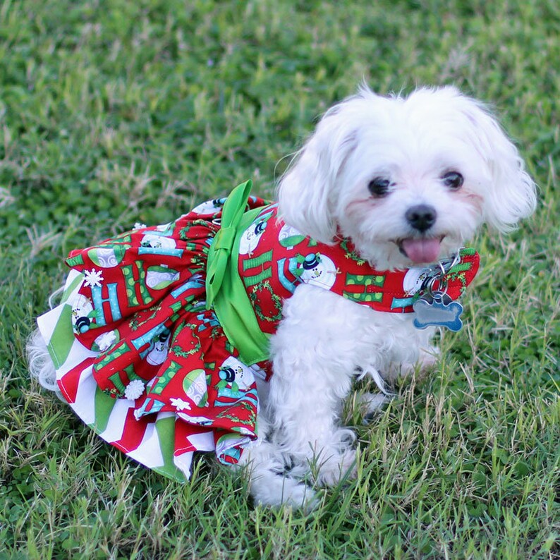 custom made small dog harness